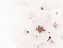 旺姻缘：招桃花运的民间方法大全