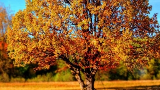 财库财运：补财库古法,具体怎么做,详细步骤是这样的