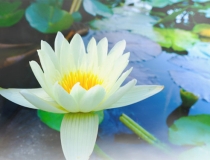 还受生债：不及时还阴债的危害，还阴债流程你一定要懂