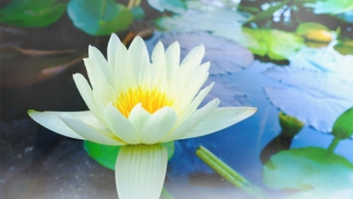 还受生债：不及时还阴债的危害，还阴债流程你一定要懂