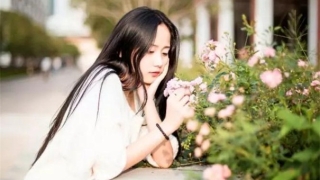 斩烂桃花：桃木剑 斩烂桃花 教你怎么处理纠缠你的烂桃花