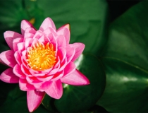 超度法事：亲人死后投胎转世需要有在世之人给他们超度