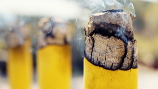 道教法事：久治不愈化解符咒,有效解决一些疑难杂症