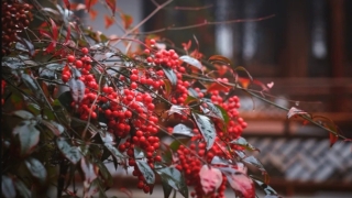 婴灵超度：婴灵缠身的表现,婴灵会对我们有哪些不利的影响,应该要怎么化解