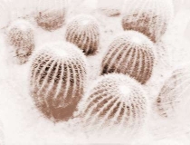 斩烂桃花：烂桃花风水可以通过这些摆件化解