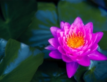 超度法事：在梦里给已经逝去的亲人烧纸钱，是什么样的意思