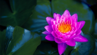 超度法事：在梦里给已经逝去的亲人烧纸钱，是什么样的意思