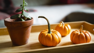 超度法事：道教最简单有效的超度亡灵分享