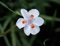 超度法事：做法超度化解亡灵纠缠，成功送走亡灵获得安康