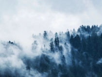 财库财运：运气差财运好是什么原因,总是存不到钱怎样办