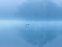 超度法事：这个实用的渡亡文,念完就可以回向给亡灵