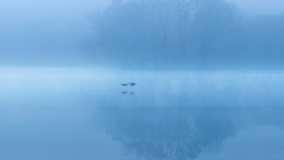 超度法事：这个实用的渡亡文,念完就可以回向给亡灵