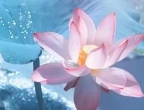 财库财运：家里进门玄关摆什么好？招财纳吉有讲究