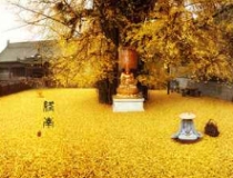 民俗文化：民间简单破解犯小人方法，步骤少，见效快