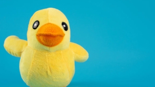 婴灵超度：堕胎后超度婴灵，让你放下愧疚轻松生活