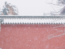 婴灵超度：打掉胎儿后一定要渡亡,否则你会悔恨终身