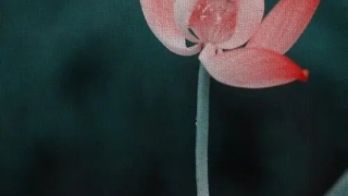 还受生债：出生年查还阴债多少 还阴债烧什么纸好