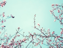 化太岁：生活中常用三种正确应对犯太岁之法