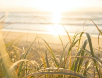 超度法事：渡亡能做几次,化解对亡灵的意义