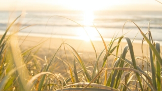 超度法事：渡亡能做几次,化解对亡灵的意义