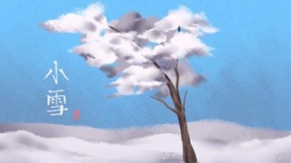 财库财运：面相男子鼻翼小 鼻翼小的人没财库吗