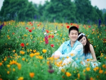 斩烂桃花：斩桃花符有用吗｜桃花斩符的奥秘