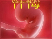 婴灵超度：超度婴灵法事费用一般多少 ， 用什么方法超度婴灵最好，法事流程