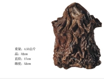 化太岁：今年什么冲太岁