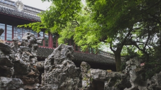 化太岁：流年犯太岁会让你职场不顺 事业受阻