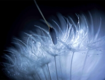 超度法事：烟供烧咒轮，烟供功德很大