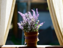 旺姻缘：单身人士如何走桃花运 脱单的福音在这里