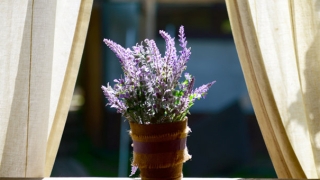 旺姻缘：单身人士如何走桃花运 脱单的福音在这里