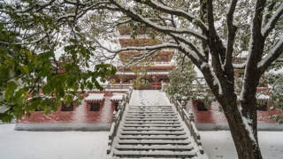 道教法事：辟邪符咒帮你赶走妖魔鬼怪，保护你的平安