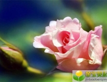 财库财运：没有手相财库的人就一定没有钱吗