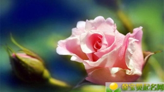 财库财运：没有手相财库的人就一定没有钱吗