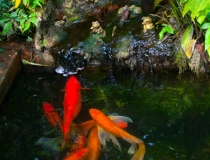 超度法事：道家投胎的说法，帮助亡灵得到超度