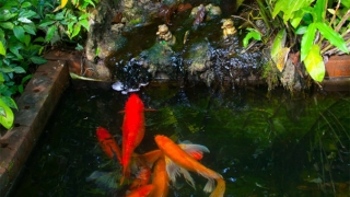 超度法事：道家投胎的说法，帮助亡灵得到超度