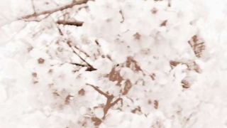 旺姻缘：教大家正确招正桃花运的方法