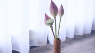 道教法事：事业受阻不顺利怎么转运,三招帮你开运化解厄运