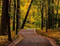 超度法事：为什么要做渡亡 佛教渡亡的作用