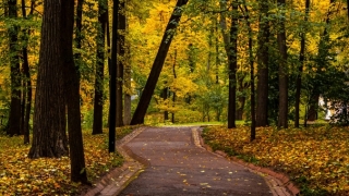 超度法事：为什么要做渡亡 佛教渡亡的作用