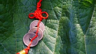 民俗文化：如何顺星开运转运使用开光改运圣物