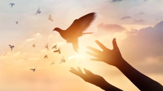 斩烂桃花：道教斩烂桃花，让你们恩爱如初