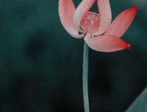 财库财运：财库在八字中的作用