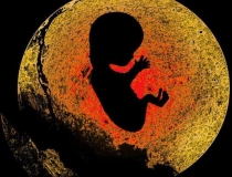 婴灵超度：打胎的孩子灵魂去哪了，去天堂等待投胎