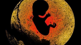 婴灵超度：打胎的孩子灵魂去哪了，去天堂等待投胎