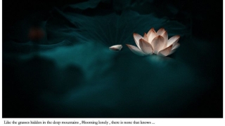 还受生债：佛家还阴债表文 ／还阴债一定要去寺庙吗