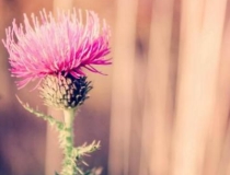 婴灵超度：自然流产因果报应解析