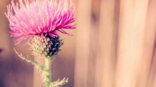 婴灵超度：自然流产因果报应解析