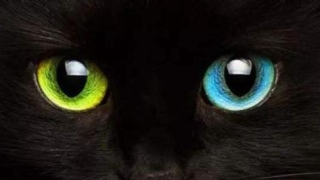 民俗文化：开阴阳眼1分钟见效，但千万不要轻易尝试